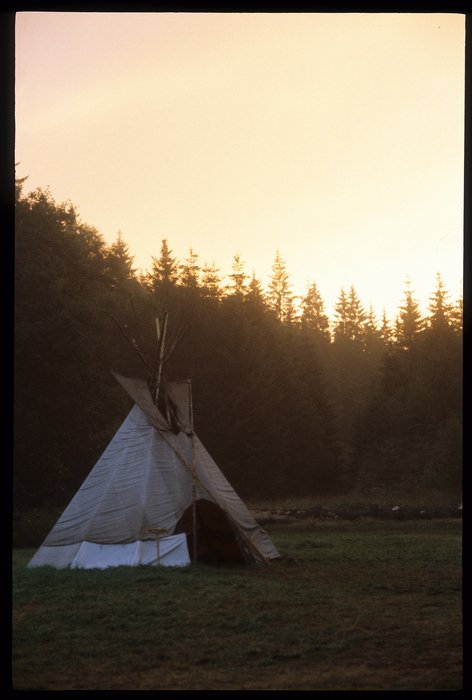 1999 tabor Persea Wairo 010